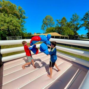 Bouncy Boxing Ring
